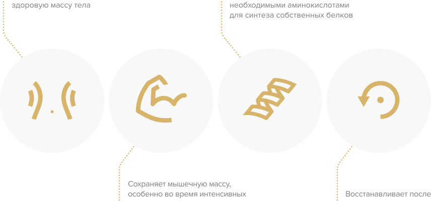Белковый калькулятор